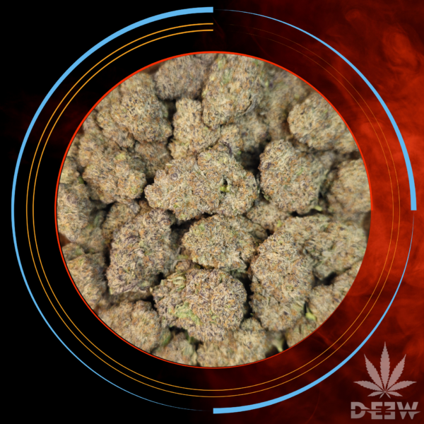 Durban Poison THCa Flower | 27.37% Sativa